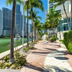 Negocio 360° Painting Of Miami-dade