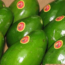 Negocio A Martinez Produce Corporation