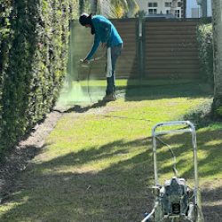 Negocio Above All Painting And Pressure Cleaning