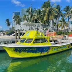 Negocio Ace Diving Miami
