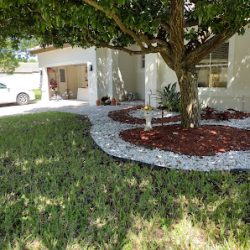 Negocio Allapattah Wynwood Jardin