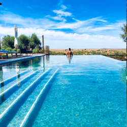 Negocio Amenity Pool Services