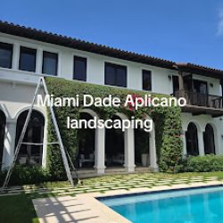 Negocio Aplicano Landscaping