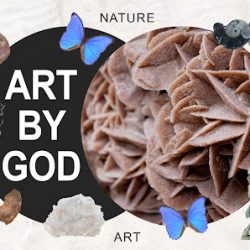 Negocio Art By God