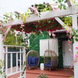 Negocio Art Gardens Hostel