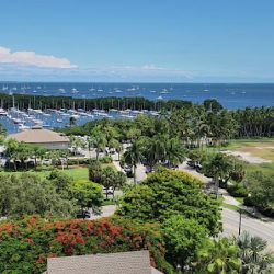 Negocio Arya Hotel And Suites Coconut Grove