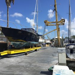 Negocio Austral Marina
