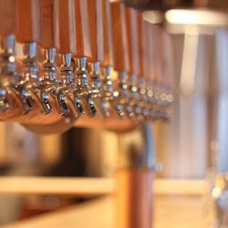 Negocio Bay 13 Brewery And Kitchen