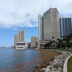 Negocio Bayfront Park