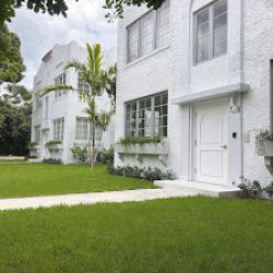 Negocio Beach Haus Design District