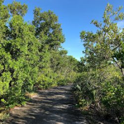 Negocio Bear Cut Nature Trail
