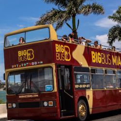 Negocio Big Bus Tours Miami