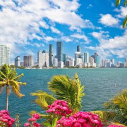Negocio Biscayne Bay Boat Tours
