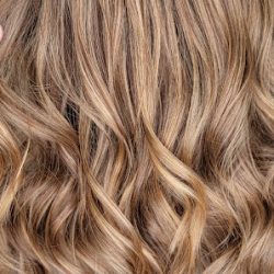 Negocio Buenos Aires Salon