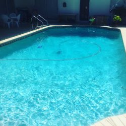 Negocio Carp Pool Service