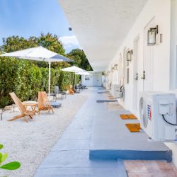 Negocio Casa Agave Miami