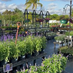 Negocio Casaplanta Garden Center