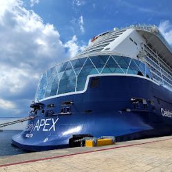 Negocio Celebrity Cruises