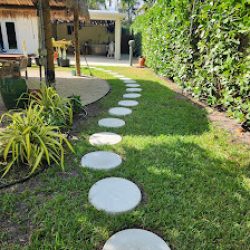 Negocio Cesar Martínez Landscaping