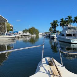 Negocio Charters