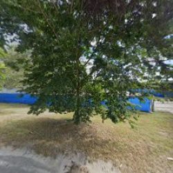Negocio Children's Academy Preschool