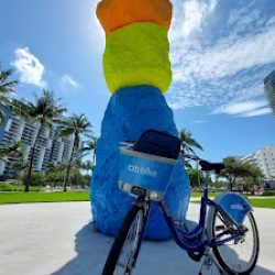 Negocio Citi Bike