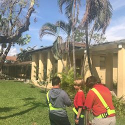 Negocio Coconut Grove Elementary School
