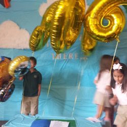 Negocio Coconut Grove Montessori School