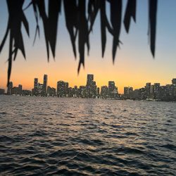 Negocio Cruisin' Tikis Miami