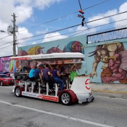 Negocio Cycle Party Miami