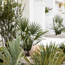 Negocio Defined Outdoors