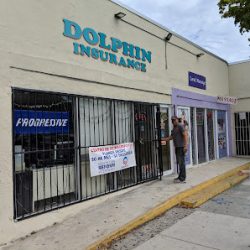 Negocio Dolphin Insurance