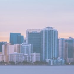 Negocio Domi Real Estate Advisors
