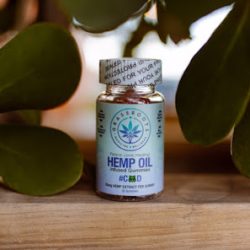 Negocio Dr. Damas Wellness