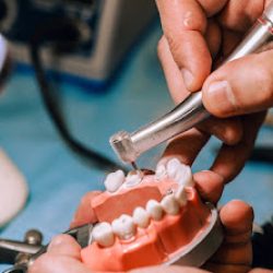 Negocio Dr. Neto Dental Courses