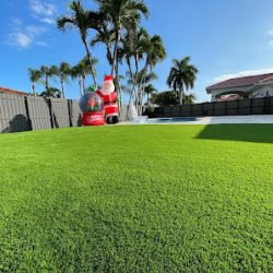 Negocio Easy Care Grass