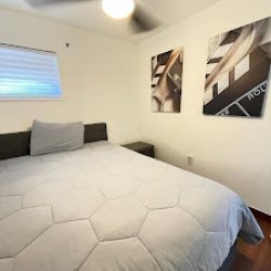 Negocio Eco Hostel