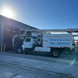Negocio Ernesto Pita Landscaping