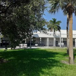 Negocio Escuela Secundaria Miami Beach