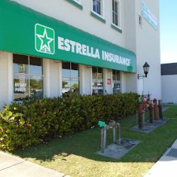 Negocio Estrella Insurance #101