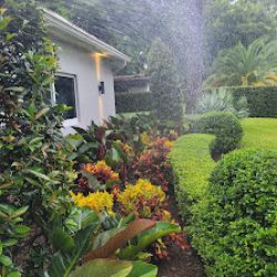 Negocio F.l.s. Lawn Servicellc