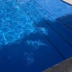 Negocio Fast And Clean Pool Services