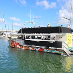Negocio Fiesta Cruises