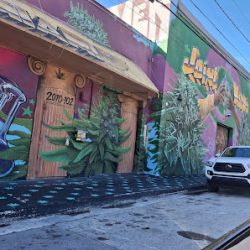 Negocio Finessing Miami