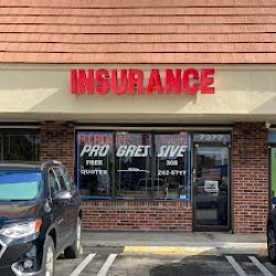Negocio Florida Insurance Enterprises Agency Corporation