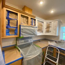 Negocio Florida Painting Solutions Llc