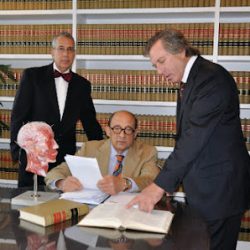 Negocio Friedman & Friedman Pa