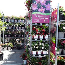 Negocio Garden Center At The Home Depot