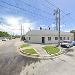 Negocio General Tree Services Miami