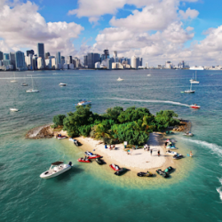 Negocio Gioia | Marketing & Consulting Ny-miami